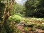 桂林国家森林公园